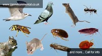 JG Environmental LTD Pest Control Services 374741 Image 9